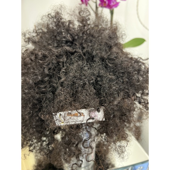 Parrucca di capelli veri Remy ricci brasiliani 100% capelli umani
