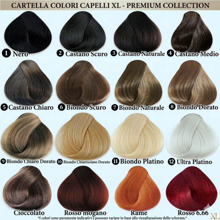 Cartella colori ciocche Capelli XL