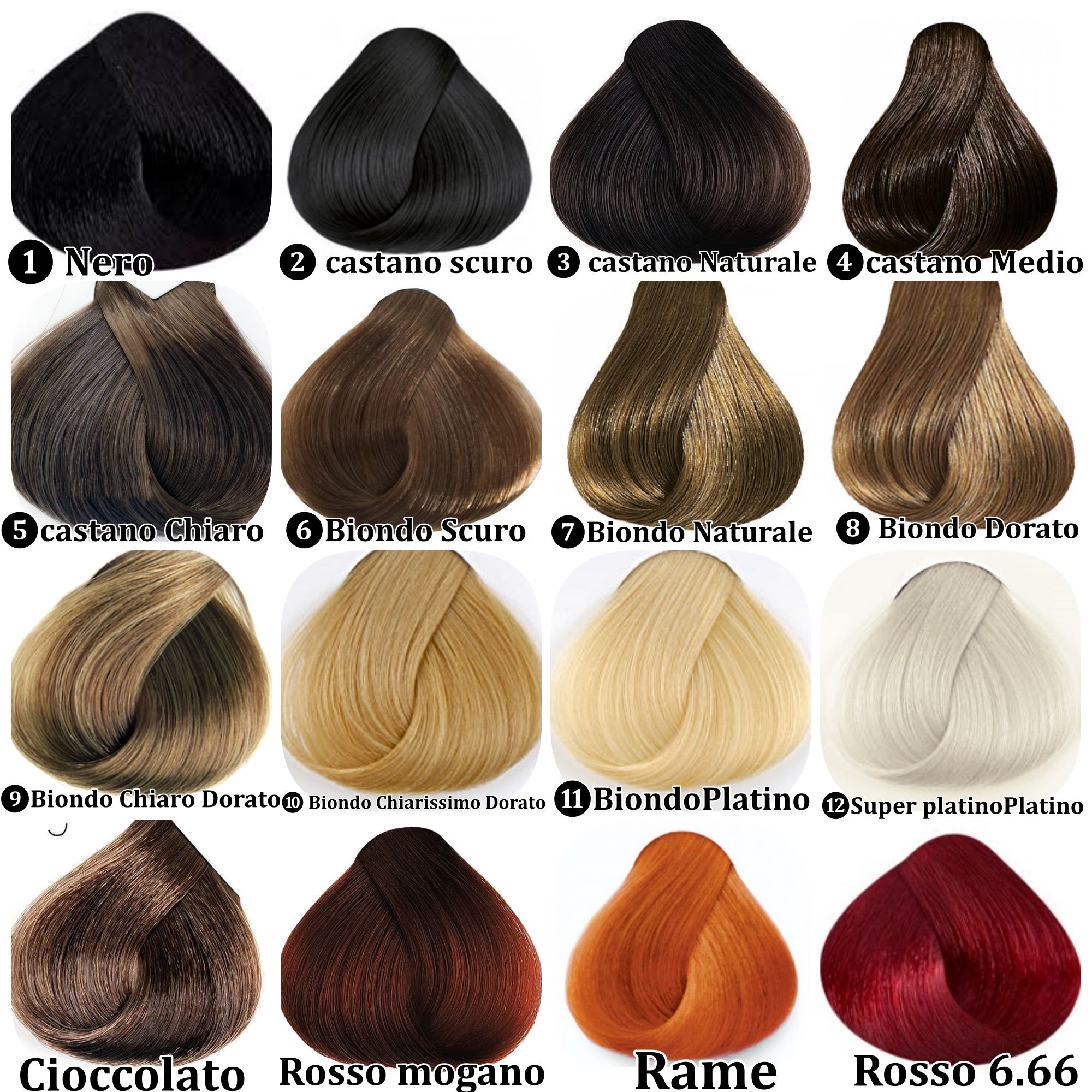 Cartella colori Capelli XL